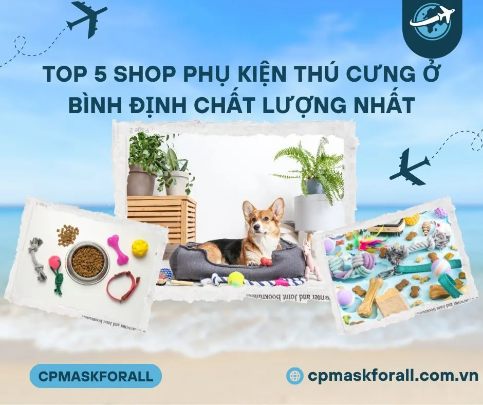 Top 5 Shop Phụ Kiện Thú Cưng ở Bình Định Chất Lượng Nhất