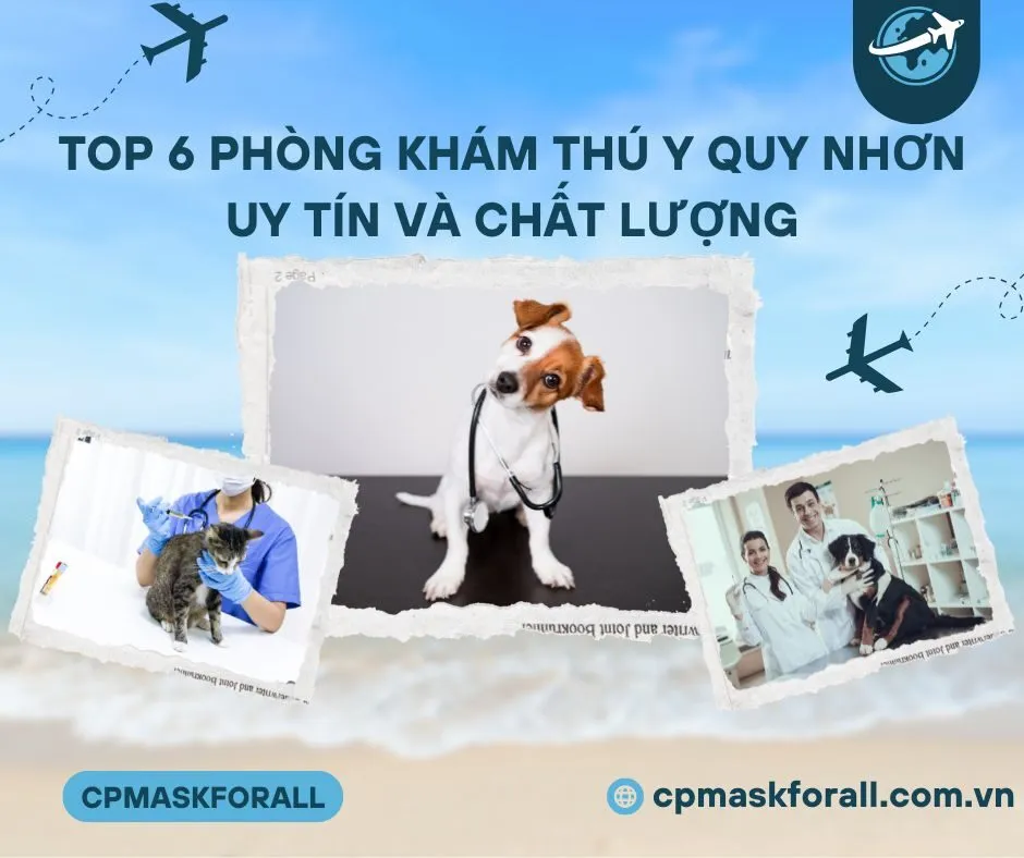 Top 6 Phòng khám thú y Quy Nhơn uy tín và chất lượng