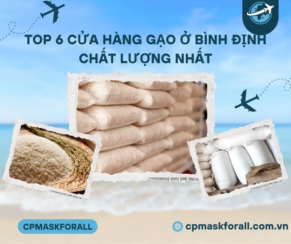Khám Phá 6 Cửa hàng Gạo ở Bình Định Chất Lượng Và Ngon Nhất