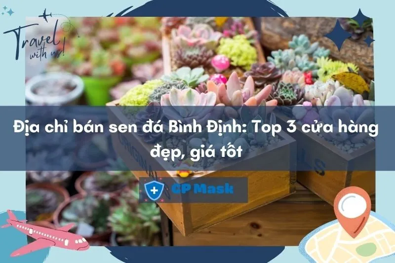 Địa chỉ bán sen đá Bình Định: Top 3 cửa hàng đẹp, giá tốt 2025